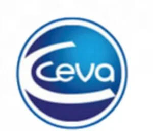 Ceva Ceva